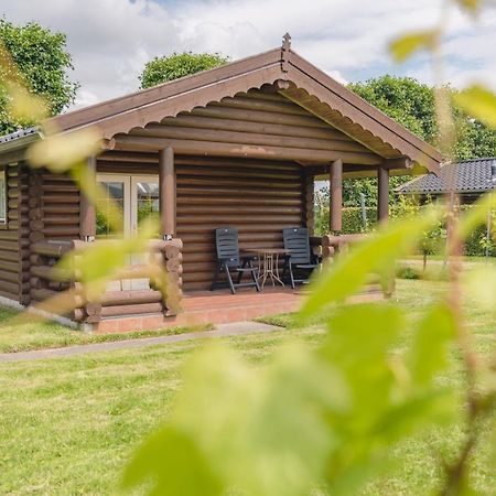 Wognum Wijngaard Saalhof Bed & Breakfast エクステリア 写真