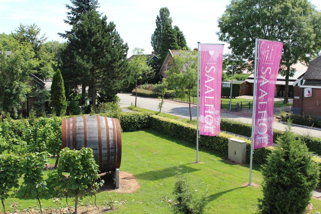 Wognum Wijngaard Saalhof Bed & Breakfast エクステリア 写真