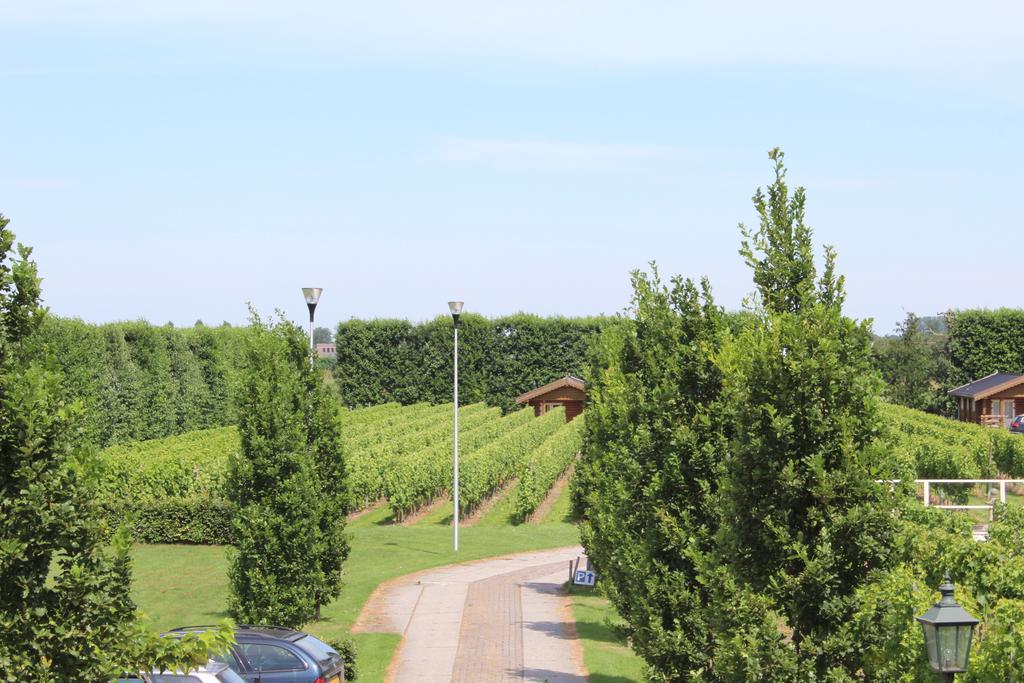 Wognum Wijngaard Saalhof Bed & Breakfast エクステリア 写真