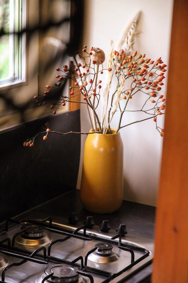 Wognum Wijngaard Saalhof Bed & Breakfast エクステリア 写真